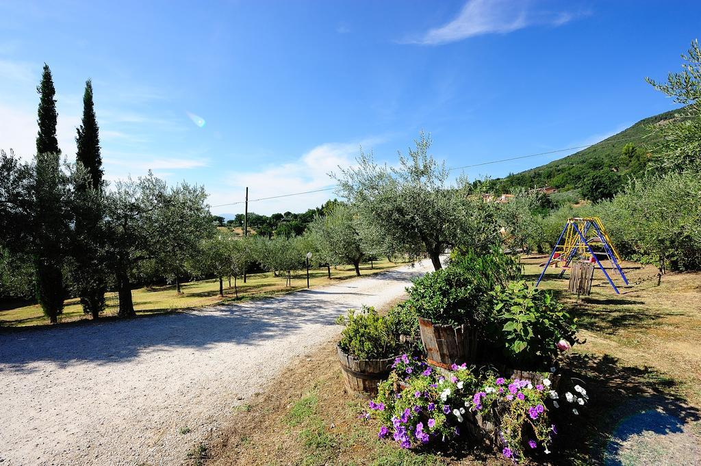 Colle Degli Olivi Snc Guest House Assisi Eksteriør bilde